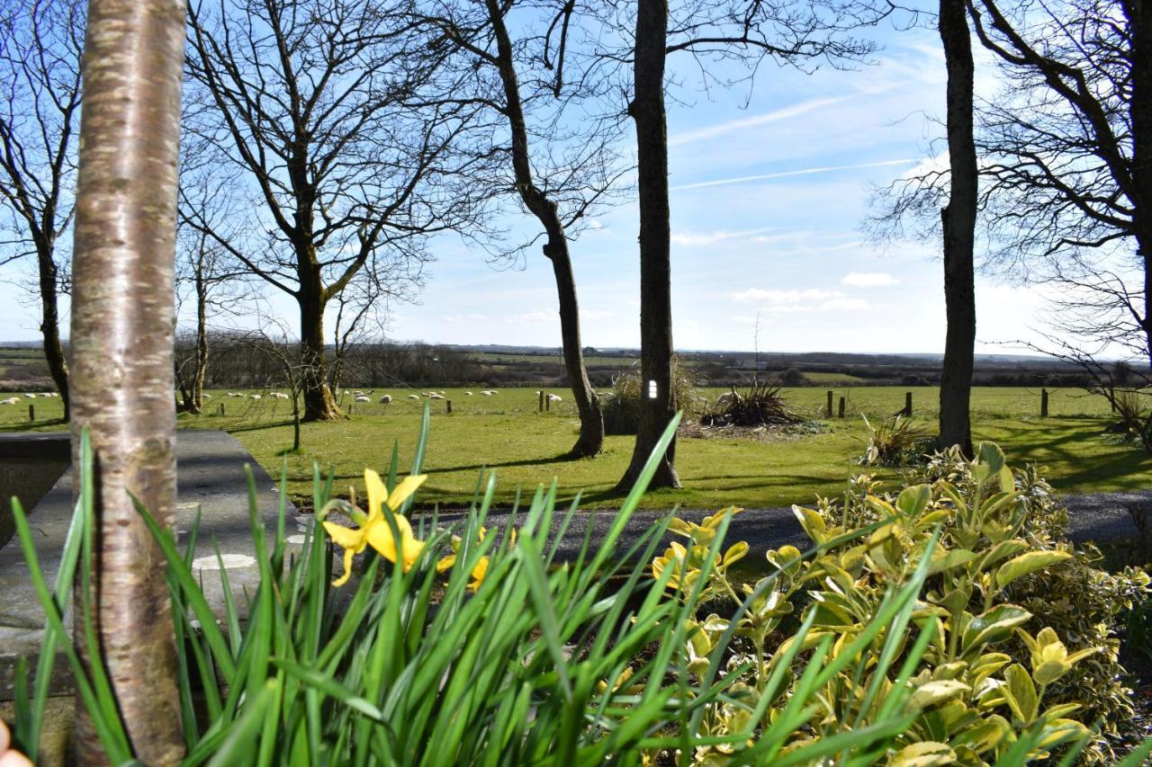 Crug Glas Country House Сейнт Дейвидс Екстериор снимка